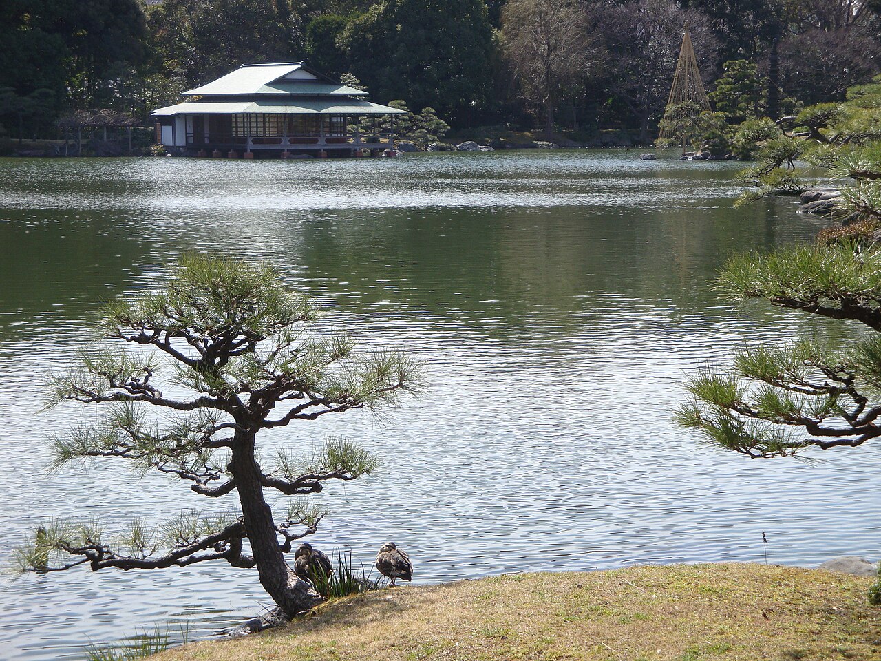 Kiyosumi Gardens