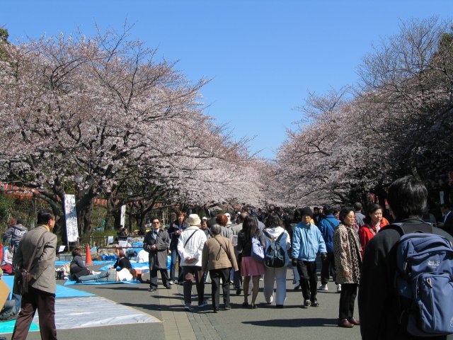 Ueno Park